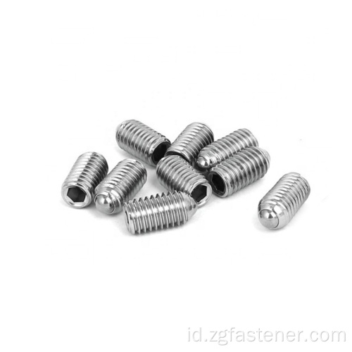 Sekrup plunger bola stainless steel sus304 sekrup plunger